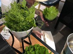 丝瓜尖-东椰·海南椰子鸡火锅(朝阳门店)