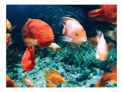 -福州罗源湾海洋世界旅游区