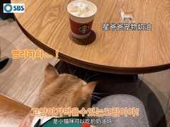 -星巴克(天津鲁能中心第三店)