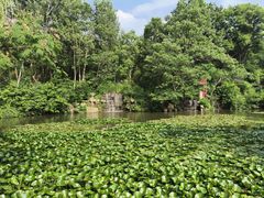 -竹泉村旅游度假区
