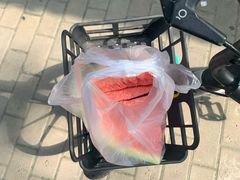-回坊马二饺子馆