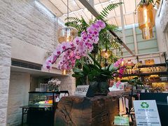 -6号花园别墅酒店