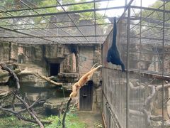 -南宁市动物园