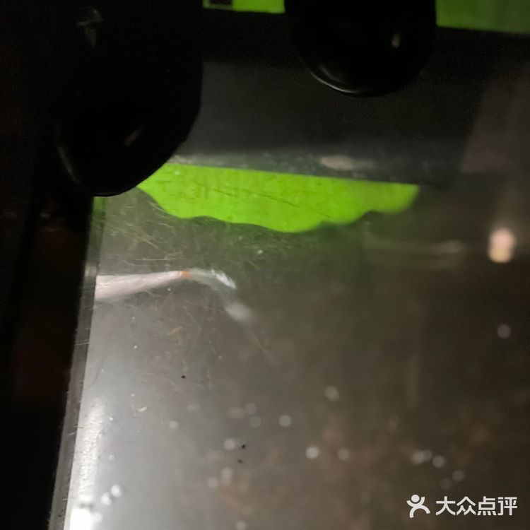 今晚小干饭团聚会啦🐦