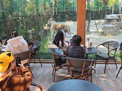 -上海野生动物园老虎餐厅