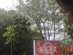 -丹樱生态园