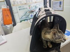 -海门爱心宠物医院