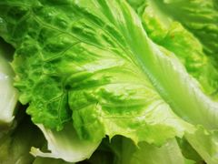 -牛天下·牛肉·海鲜·打边炉·融合菜