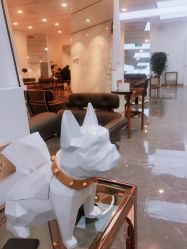 -CD Hair salon