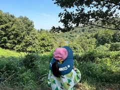 -南北湖风景区