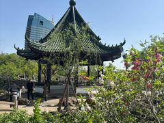 -无锡蠡湖国家湿地公园-蠡园
