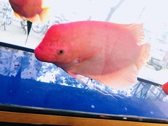 -宝岛眼镜(杭州万塘路旗舰店)