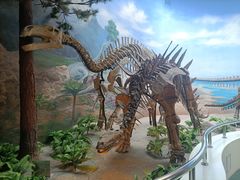 -延庆地质公园博物馆