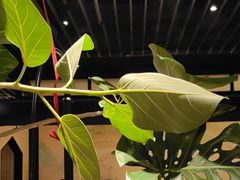 -桂满陇·锦绣江南(益田广场店)