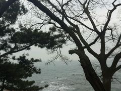 android_upload_pic-青岛第二海水浴场