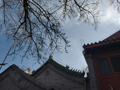 -三里河公园