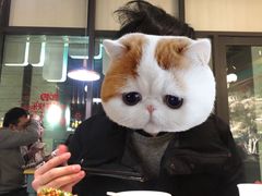 -付掌柜在成都·热炒砂锅集(金禾店)