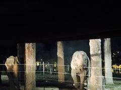 -清迈夜间动物园