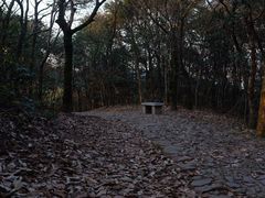 -西湖风景区十里琅珰-五云山