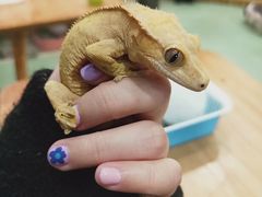 -藦茜花园宠物主题亲子互动体验馆(国顺东路店)