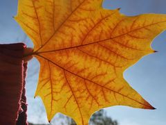 -天津工业大学西苑餐厅