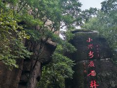 -汤旺河林海奇石景区