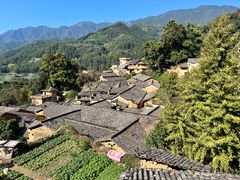 -杨家堂村