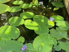 -国家植物园南园