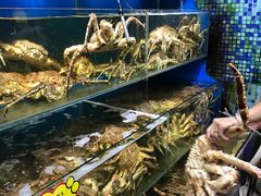-蚝专家(北滘店)