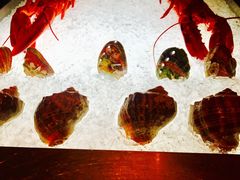 -上海柏悦酒店·世纪100牛排馆