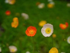 -章氏(车站北路店)