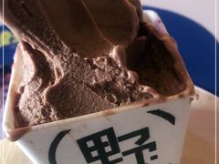 -野人牧坊Gelato(天津南开大悦城店)