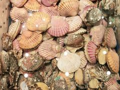 -高佳庄·舟山海鲜(海景旗舰店)