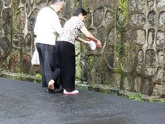 -杭州半山国家森林公园