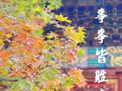 -香山公园