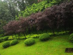 -西南政法大学(渝北校区)