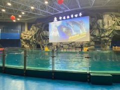 -威海华夏城景区