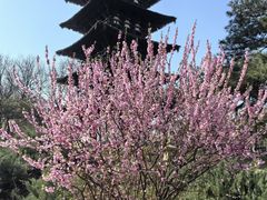 -北京世界公园