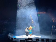 -灵玲国际马戏城