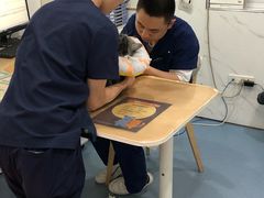 -伟伟宠物医院·CT影像中心·瑞派犬猫综合性门诊(汉口总院)