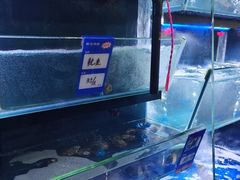 -御龙海鲜火锅(十六浦店)