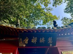 -普陀山风景区-佛顶山