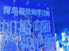 -海合安青岛极地海洋公园