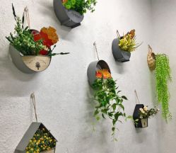 点击看大图 -吉米护肤造型