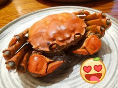 大闸蟹-必点海鲜·鲅鱼水饺(鞍山西道店)