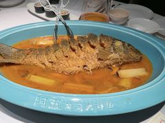 -阿五黄河大鲤鱼(英协路店)