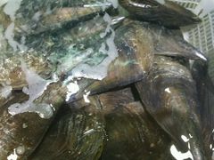 android_upload_pic-老虎滩船说·海胆水饺·大连海鲜(老虎滩店)