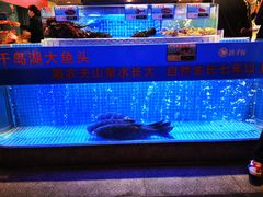 -鸽子侯·家宴·平价海鲜(绿地店)