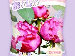 -前小桔亲子创意农场·草莓采摘·露营烧烤