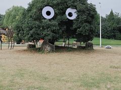 -祥源·阜阳生态乐园